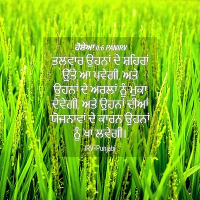 Picture 04 - ਹੋਸ਼ੇਆ 11:6 PANIRV - ਤਲਵਾਰ ਉਹਨਾਂ ਦੇ - Bible Verse Picture