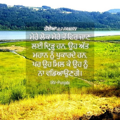 Picture 04 - ਹੋਸ਼ੇਆ 11:7 PANIRV - ਮੇਰੇ ਲੋਕ ਮੇਰੇ ਤੋਂ - Bible Verse Picture