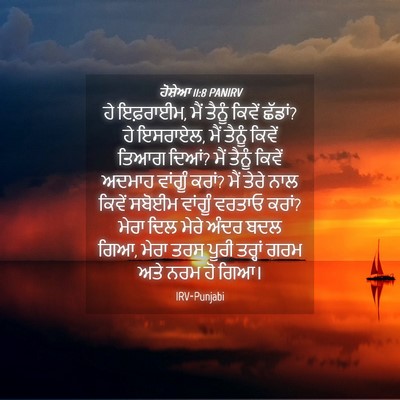 Picture 04 - ਹੋਸ਼ੇਆ 11:8 PANIRV - ਹੇ ਇਫ਼ਰਾਈਮ, ਮੈਂ - Bible Verse Picture
