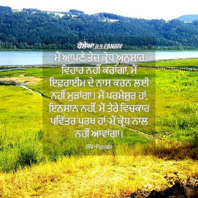 Picture 04 - ਹੋਸ਼ੇਆ 11:9 PANIRV - ਮੈਂ ਆਪਣੇ ਤੇਜ਼ - Bible Verse Picture