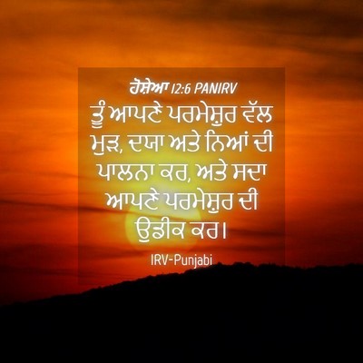Picture 04 - ਹੋਸ਼ੇਆ 12:6 PANIRV - ਤੂੰ ਆਪਣੇ ਪਰਮੇਸ਼ੁਰ - Bible Verse Picture