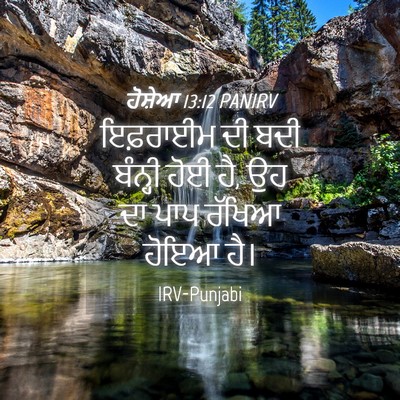 Picture 04 - ਹੋਸ਼ੇਆ 13:12 PANIRV - ਇਫ਼ਰਾਈਮ ਦੀ ਬਦੀ - Bible Verse Picture
