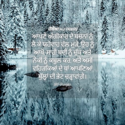 Picture 04 - ਹੋਸ਼ੇਆ 14:2 PANIRV - ਆਪਣੇ ਅੰਗੀਕਾਰ ਦੇ - Bible Verse Picture