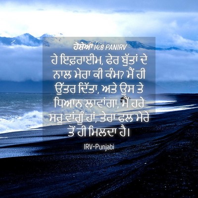 Picture 04 - ਹੋਸ਼ੇਆ 14:8 PANIRV - ਹੇ ਇਫ਼ਰਾਈਮ, ਫੇਰ - Bible Verse Picture