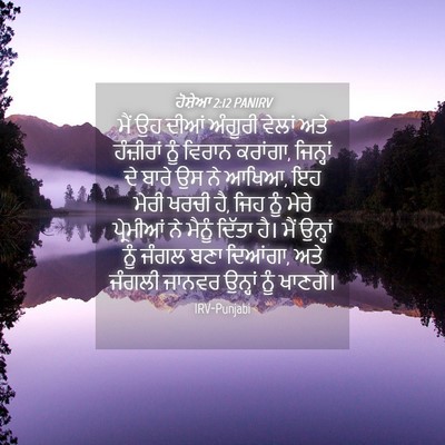 Picture 04 - ਹੋਸ਼ੇਆ 2:12 PANIRV - ਮੈਂ ਉਹ ਦੀਆਂ ਅੰਗੂਰੀ - Bible Verse Picture