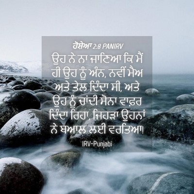 Picture 04 - ਹੋਸ਼ੇਆ 2:8 PANIRV - ਉਹ ਨੇ ਨਾ ਜਾਣਿਆ ਕਿ - Bible Verse Picture