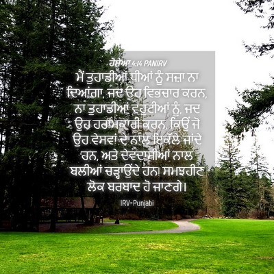Picture 04 - ਹੋਸ਼ੇਆ 4:14 PANIRV - ਮੈਂ ਤੁਹਾਡੀਆਂ ਧੀਆਂ - Bible Verse Picture