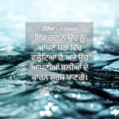 Picture 04 - ਹੋਸ਼ੇਆ 4:19 PANIRV - ਇੱਕ ਹਵਾ ਨੇ ਉਹ ਨੂੰ - Bible Verse Picture