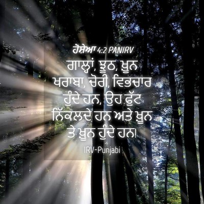 Picture 04 - ਹੋਸ਼ੇਆ 4:2 PANIRV - ਗਾਲ੍ਹਾਂ, ਝੂਠ, ਖ਼ੂਨ - Bible Verse Picture