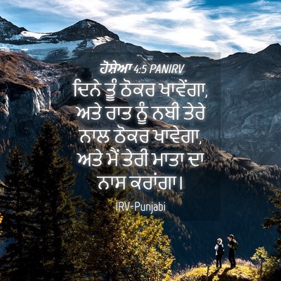 Picture 04 - ਹੋਸ਼ੇਆ 4:5 PANIRV - ਦਿਨੇ ਤੂੰ ਠੋਕਰ - Bible Verse Picture
