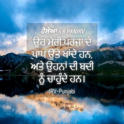 Picture 04 - ਹੋਸ਼ੇਆ 4:8 PANIRV - ਉਹ ਮੇਰੀ ਪਰਜਾ ਦੇ ਪਾਪ - Bible Verse Picture