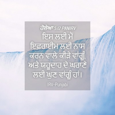 Picture 04 - ਹੋਸ਼ੇਆ 5:12 PANIRV - ਇਸ ਲਈ ਮੈਂ ਇਫ਼ਰਾਈਮ - Bible Verse Picture