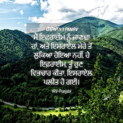 Picture 04 - ਹੋਸ਼ੇਆ 5:3 PANIRV - ਮੈਂ ਇਫ਼ਰਾਈਮ ਨੂੰ - Bible Verse Picture