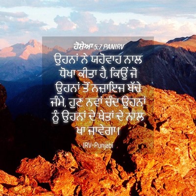 Picture 04 - ਹੋਸ਼ੇਆ 5:7 PANIRV - ਉਹਨਾਂ ਨੇ ਯਹੋਵਾਹ - Bible Verse Picture