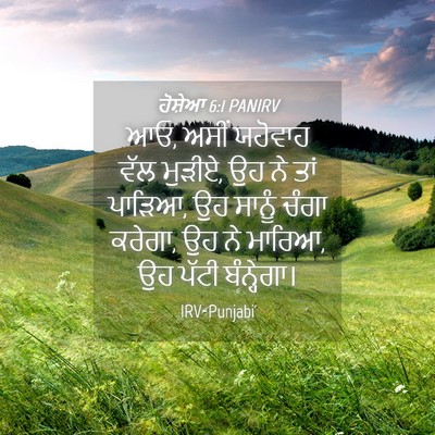 Picture 04 - ਹੋਸ਼ੇਆ 6:1 PANIRV - ਆਓ, ਅਸੀਂ ਯਹੋਵਾਹ ਵੱਲ - Bible Verse Picture