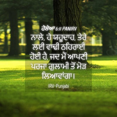 Picture 04 - ਹੋਸ਼ੇਆ 6:11 PANIRV - ਨਾਲੇ, ਹੇ ਯਹੂਦਾਹ, - Bible Verse Picture