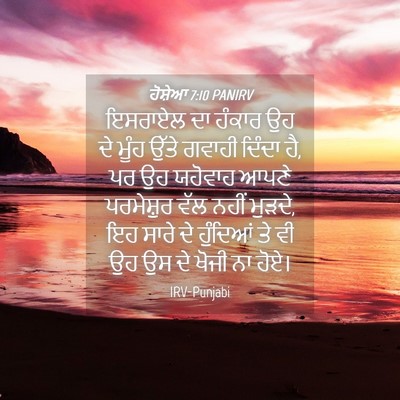 Picture 04 - ਹੋਸ਼ੇਆ 7:10 PANIRV - ਇਸਰਾਏਲ ਦਾ ਹੰਕਾਰ ਉਹ - Bible Verse Picture