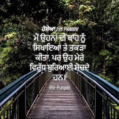 Picture 04 - ਹੋਸ਼ੇਆ 7:15 PANIRV - ਮੈਂ ਉਹਨਾਂ ਦੀ ਬਾਂਹ - Bible Verse Picture