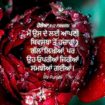 Picture 04 - ਹੋਸ਼ੇਆ 8:12 PANIRV - ਮੈਂ ਉਸ ਦੇ ਲਈ ਆਪਣੀ - Bible Verse Picture