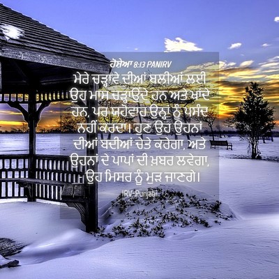 Picture 04 - ਹੋਸ਼ੇਆ 8:13 PANIRV - ਮੇਰੇ ਚੜ੍ਹਾਵੇ ਦੀਆਂ - Bible Verse Picture