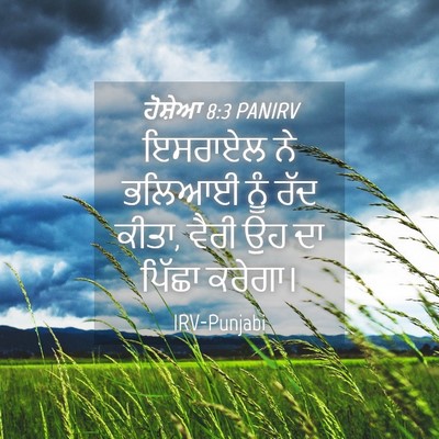 Picture 04 - ਹੋਸ਼ੇਆ 8:3 PANIRV - ਇਸਰਾਏਲ ਨੇ ਭਲਿਆਈ - Bible Verse Picture