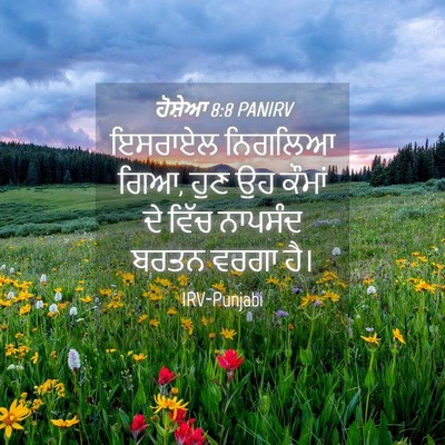 Picture 04 - ਹੋਸ਼ੇਆ 8:8 PANIRV - ਇਸਰਾਏਲ ਨਿਗਲਿਆ ਗਿਆ, - Bible Verse Picture