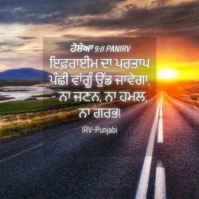 Picture 04 - ਹੋਸ਼ੇਆ 9:11 PANIRV - ਇਫ਼ਰਾਈਮ ਦਾ ਪਰਤਾਪ - Bible Verse Picture
