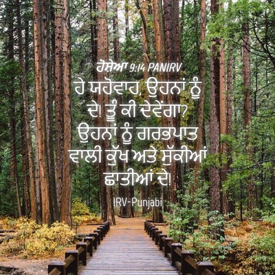 Picture 04 - ਹੋਸ਼ੇਆ 9:14 PANIRV - ਹੇ ਯਹੋਵਾਹ, ਉਹਨਾਂ - Bible Verse Picture
