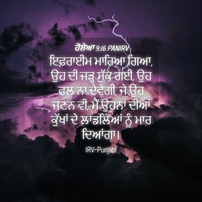Picture 04 - ਹੋਸ਼ੇਆ 9:16 PANIRV - ਇਫ਼ਰਾਈਮ ਮਾਰਿਆ ਗਿਆ, - Bible Verse Picture