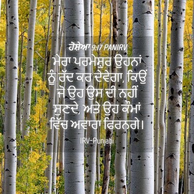 Picture 04 - ਹੋਸ਼ੇਆ 9:17 PANIRV - ਮੇਰਾ ਪਰਮੇਸ਼ੁਰ - Bible Verse Picture