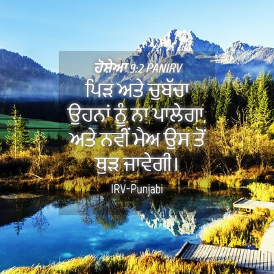 Picture 04 - ਹੋਸ਼ੇਆ 9:2 PANIRV - ਪਿੜ ਅਤੇ ਚੁਬੱਚਾ - Bible Verse Picture