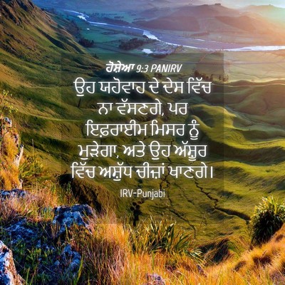 Picture 04 - ਹੋਸ਼ੇਆ 9:3 PANIRV - ਉਹ ਯਹੋਵਾਹ ਦੇ ਦੇਸ - Bible Verse Picture