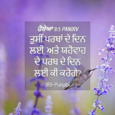 Picture 04 - ਹੋਸ਼ੇਆ 9:5 PANIRV - ਤੁਸੀਂ ਪਰਬਾਂ ਦੇ ਦਿਨ - Bible Verse Picture