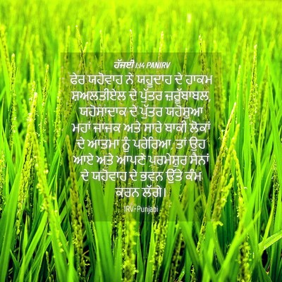 Picture 04 - ਹੱਜਈ 1:14 PANIRV - ਫੇਰ ਯਹੋਵਾਹ ਨੇ - Bible Verse Picture