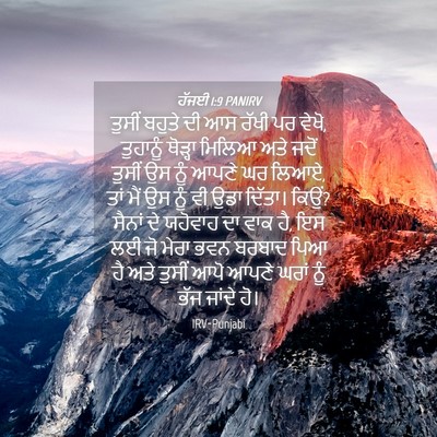 Picture 04 - ਹੱਜਈ 1:9 PANIRV - ਤੁਸੀਂ ਬਹੁਤੇ ਦੀ ਆਸ - Bible Verse Picture
