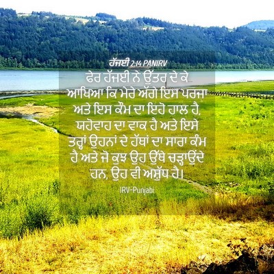 Picture 04 - ਹੱਜਈ 2:14 PANIRV - ਫੇਰ ਹੱਜਈ ਨੇ ਉੱਤਰ ਦੇ - Bible Verse Picture