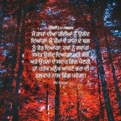 Picture 04 - ਹੱਜਈ 2:22 PANIRV - ਮੈਂ ਰਾਜਾਂ ਦੀਆਂ - Bible Verse Picture