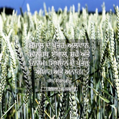 Picture 05 - 1 ਇਤਿਹਾਸ 1:40 PANIRV - ਸ਼ੋਬਾਲ ਦੇ ਪੁੱਤਰ: - Bible Verse Picture