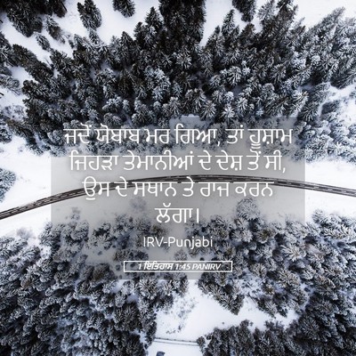 Picture 05 - 1 ਇਤਿਹਾਸ 1:45 PANIRV - ਜਦੋਂ ਯੋਬਾਬ ਮਰ ਗਿਆ, - Bible Verse Picture