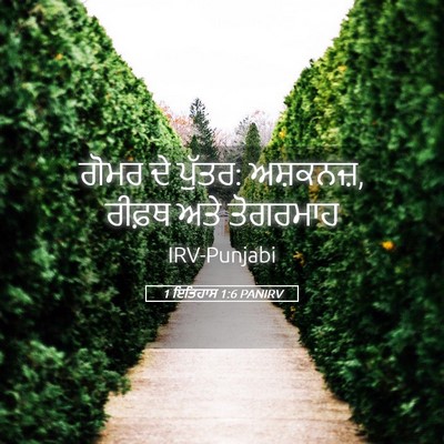 Picture 05 - 1 ਇਤਿਹਾਸ 1:6 PANIRV - ਗੋਮਰ ਦੇ ਪੁੱਤਰ: - Bible Verse Picture