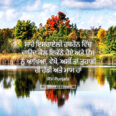Picture 05 - 1 ਇਤਿਹਾਸ 11:1 PANIRV - ਸਾਰੇ ਇਸਰਾਏਲੀ - Bible Verse Picture