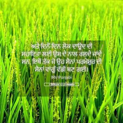 Picture 05 - 1 ਇਤਿਹਾਸ 12:22 PANIRV - ਅਤੇ ਦਿਨੋਂ-ਦਿਨ ਲੋਕ - Bible Verse Picture