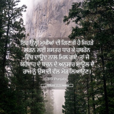 Picture 05 - 1 ਇਤਿਹਾਸ 12:23 PANIRV - ਇਹ ਉਨ੍ਹਾਂ ਮੁਖੀਆਂ - Bible Verse Picture
