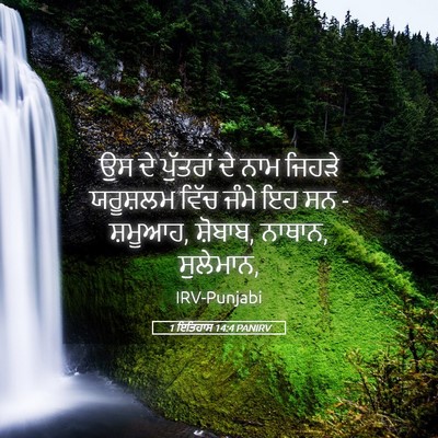 Picture 05 - 1 ਇਤਿਹਾਸ 14:4 PANIRV - ਉਸ ਦੇ ਪੁੱਤਰਾਂ ਦੇ - Bible Verse Picture