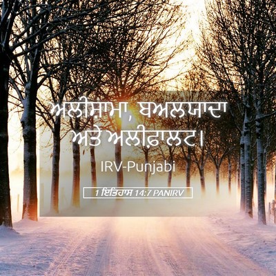 Picture 05 - 1 ਇਤਿਹਾਸ 14:7 PANIRV - ਅਲੀਸ਼ਾਮਾ, ਬਅਲਯਾਦਾ - Bible Verse Picture