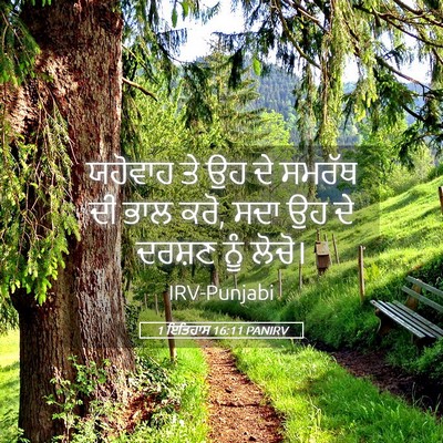 Picture 05 - 1 ਇਤਿਹਾਸ 16:11 PANIRV - ਯਹੋਵਾਹ ਤੇ ਉਹ ਦੇ - Bible Verse Picture