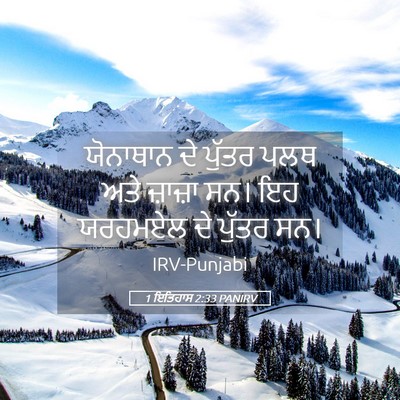 Picture 05 - 1 ਇਤਿਹਾਸ 2:33 PANIRV - ਯੋਨਾਥਾਨ ਦੇ ਪੁੱਤਰ - Bible Verse Picture