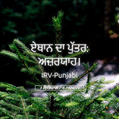 Picture 05 - 1 ਇਤਿਹਾਸ 2:8 PANIRV - ਏਥਾਨ ਦਾ ਪੁੱਤਰ: - Bible Verse Picture