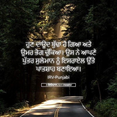 Picture 05 - 1 ਇਤਿਹਾਸ 23:1 PANIRV - ਹੁਣ ਦਾਊਦ ਬੁੱਢਾ ਹੋ - Bible Verse Picture