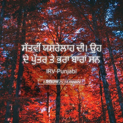 Picture 05 - 1 ਇਤਿਹਾਸ 25:14 PANIRV - ਸੱਤਵੀਂ ਯਸ਼ਰੇਲਾਹ - Bible Verse Picture